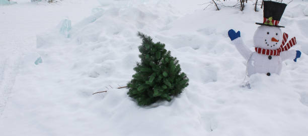 istock live christmas tree and fake snowman 675081886