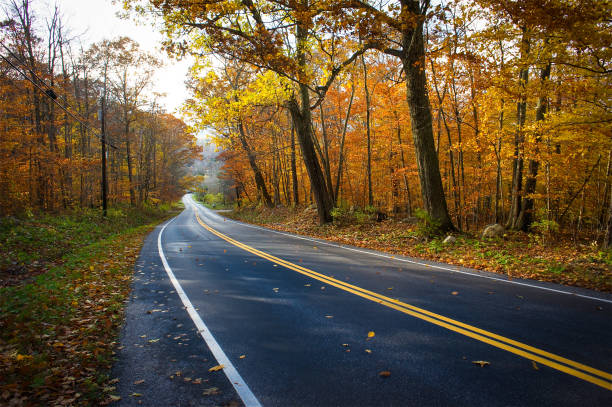 pays chemin de terre avec feuillage d'automne dans le vermont - appalachian trail dirt road footpath appalachian mountains photos et images de collection