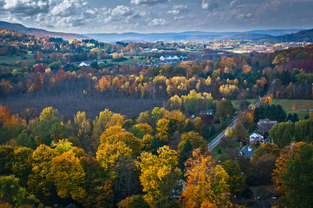 空から見た秋の紅葉のバーモント - forest autumn aerial view leaf ストックフォトと画像