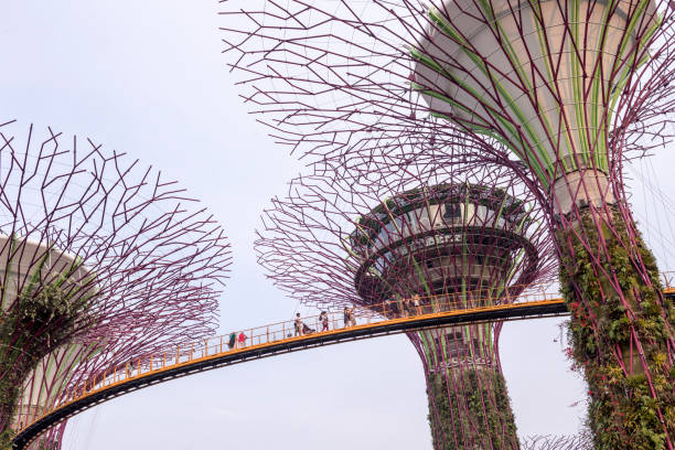 Singapore - April 29, 2017: A low angle view of people at gardens by the bay strolling along the 128 metre long aerial walkway, surrounded by panoramic vistas of the Gardens and Marina Bay skyline.
