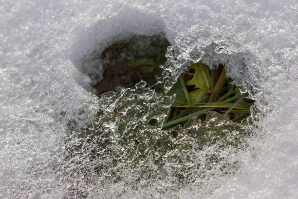 istock melting snow in latest winter days let green grass appear 675094378
