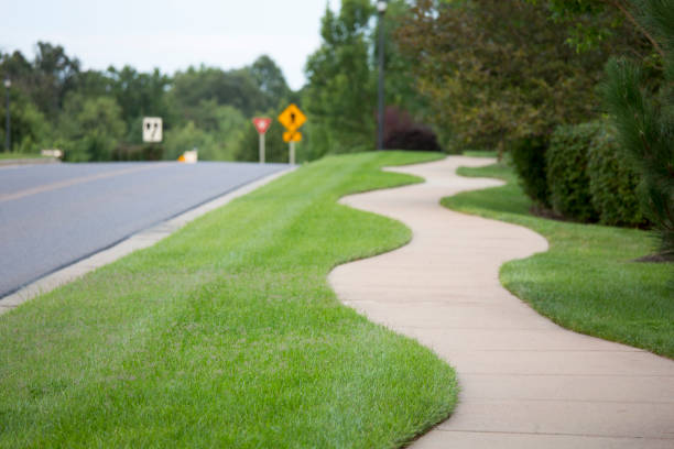 istock Suburban Scenes from St Louis USA, curved sidewalk horizontal 675096336