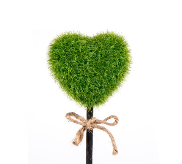 istock plant in pot shaped like heart 675183364