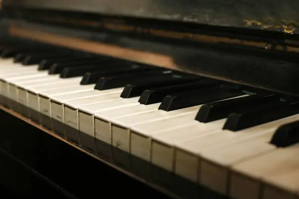 Grand piano ebony and ivory keys
