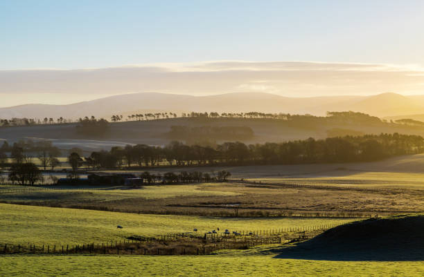 istock Hazy rural landscape in sunrise light, Scottish Highlands 675219654