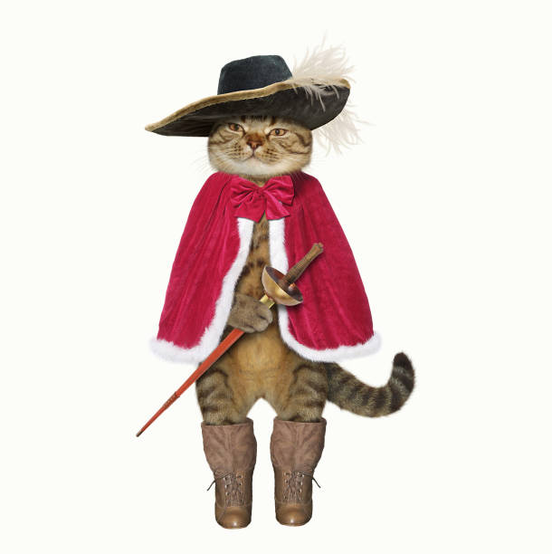 Cat in boots 2 The cat looks like a real musketeer. White background. black cat costume stock pictures, royalty-free photos & images