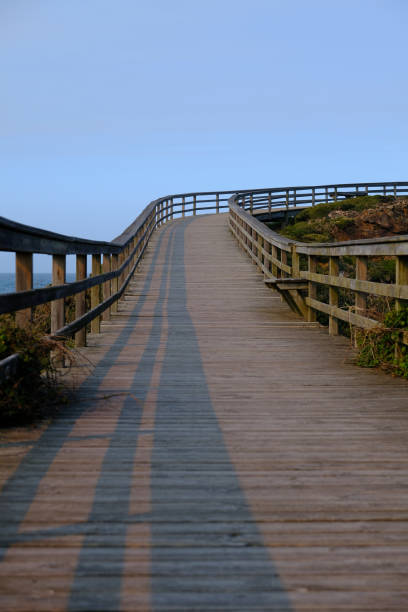 istock Wooden Pathway by the Ocean 675230538