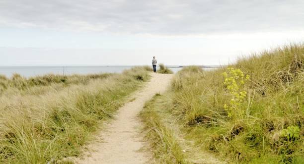 A path, leading through grassy sand dunes, to a ridge overlooking the ocean. it is evening and the scene is bathed in golden light. A single person stands on the ridge