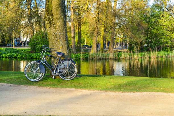 istock Bikes on Vondelpark, Amsterdam, Netherlands 675237132