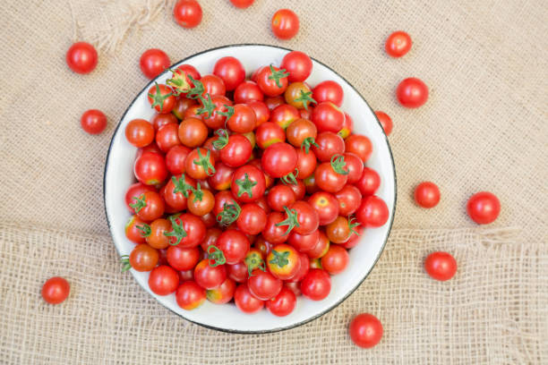 istock harvest of cherry tomatoes placed in a bowl 675239620