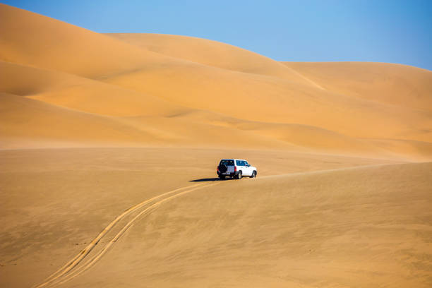 istock The sand dunes on ocean coast 675243160