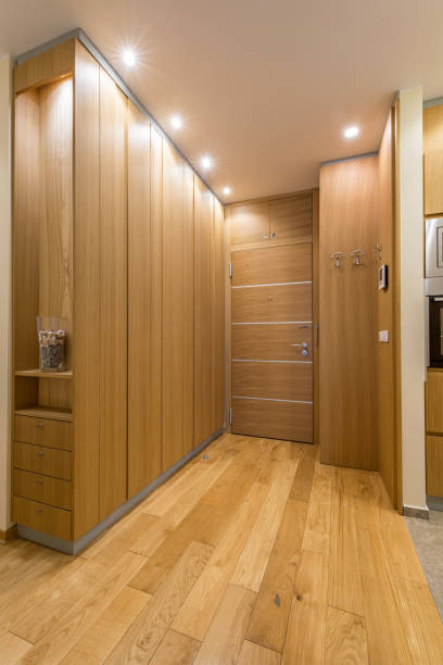 istock Modern wooden closet in corridor 675244214