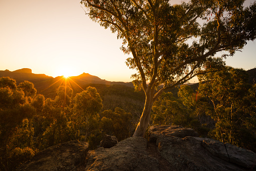 A beautiful sunset shines across a sandstone escarpment in Australia's Warrumbungles national park.