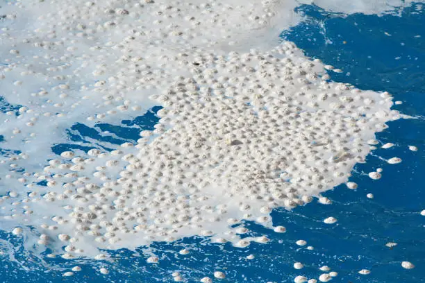 Sea snots, or Marine Mycilage, or Marine snow on the surface of Ionian Sea, close up view