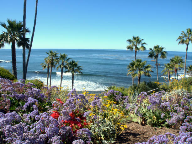 istock Nature beauty of Laguna beach, CA. 675261888