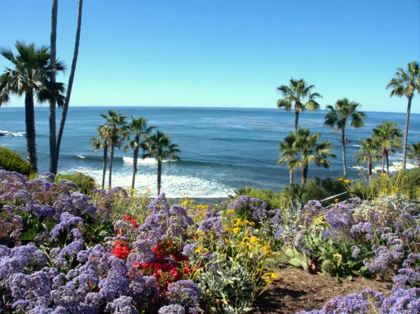 Photo of Nature beauty of Laguna beach, CA.