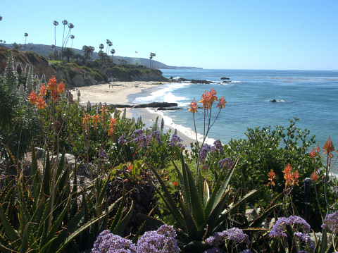 Many coastal access are decorated with flowers.