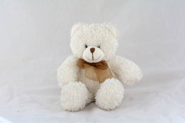 istock White teddy bear sitting on a white background 675286098