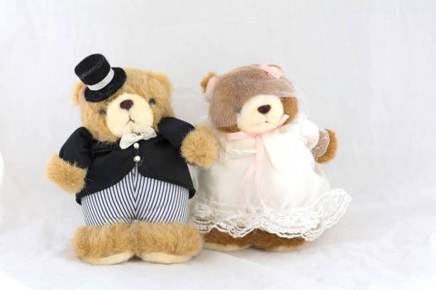 istock Teddy Bear couples in wedding dress on white background 675286190