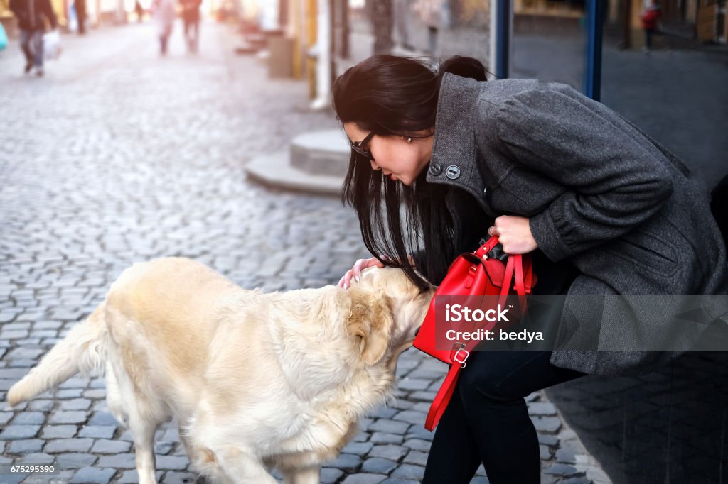 Long hair brunette girl outdoor Brunette woman with dog outdoor on the street Adult Stock Photo