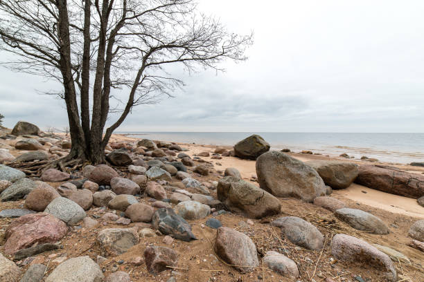 istock Rocky autumn beach with waves crashing on the rocks 675297720