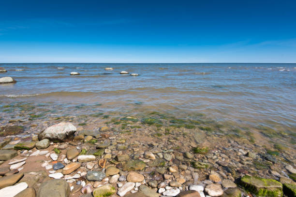 istock Baltic Sea coast in the summer 675297920