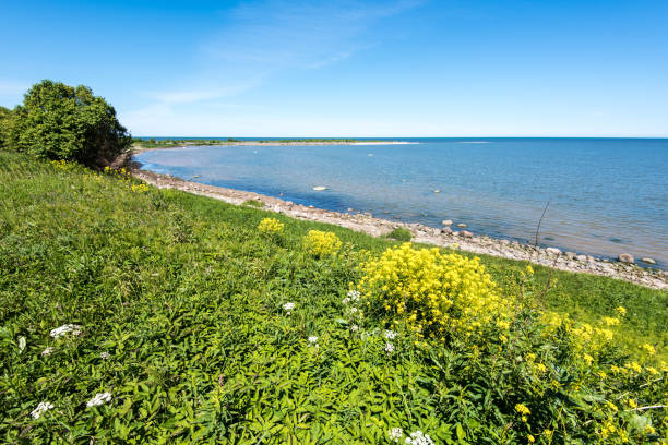 istock Baltic Sea coast in the summer. Estonia. 675297936