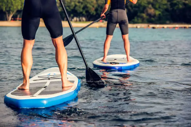 Photo of Rear view of two paddle boarder's legs