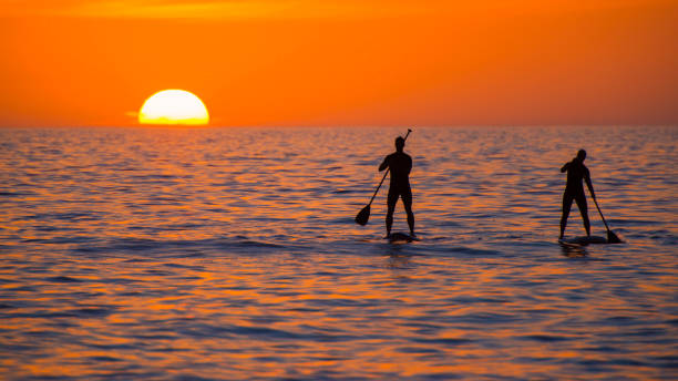 Rear view of silhouettes of a man and a woman rowing on stand-up paddle boards during sunset.