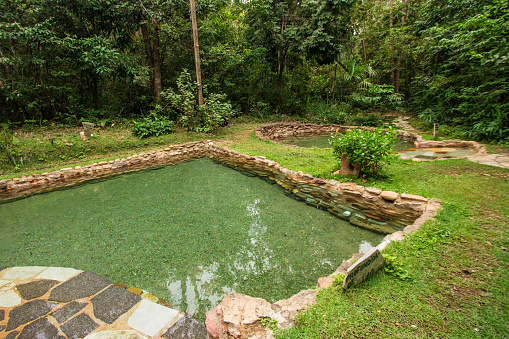 Eden natural pool water garden. Chapada dos veadeiros, Goias, Brazil