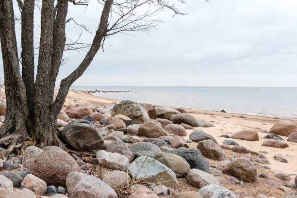 istock Rocky autumn beach with waves crashing on the rocks 675314528