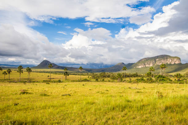 istock Maytrea Garden, Chapada dos Veadeiros 675318072