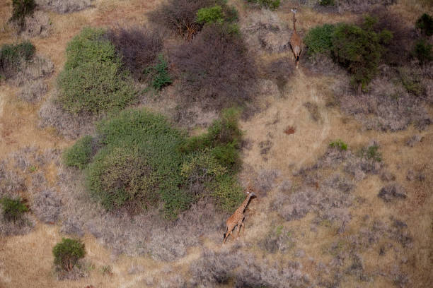 istock Kenya from the air 675327576