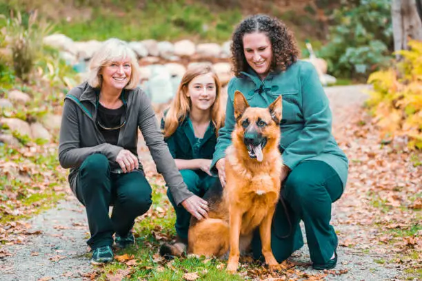 Multi-Generation women together having fun after a walk stroking and petting a cute german shepherd dog along autumn forest. Leisure, Outdoor Lifestyle Shot. Nova Scotia, Canada.