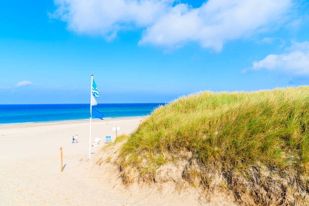 istock Path in sand to Kampen beach on Sylt island, Germany 675337240