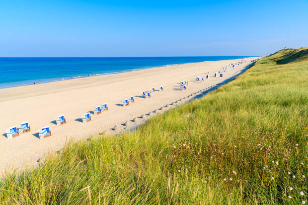 istock Grass on sand dune and wicker chairs on beautiful beach, Sylt island, Germany 675337374