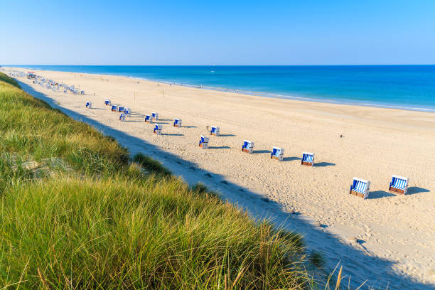 istock Grass on sand dune and wicker chairs on beautiful beach, Sylt island, Germany 675337376