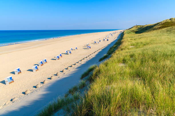 istock Grass on sand dune and wicker chairs on beautiful beach, Sylt island, Germany 675337380