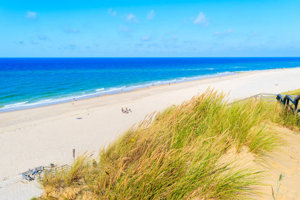 istock Grass sand dune and beautiful beach view, Sylt island, Germany 675337426