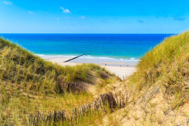 istock Grass dune overlooking beautiful Kampen beach, Sylt island, Germany 675337436