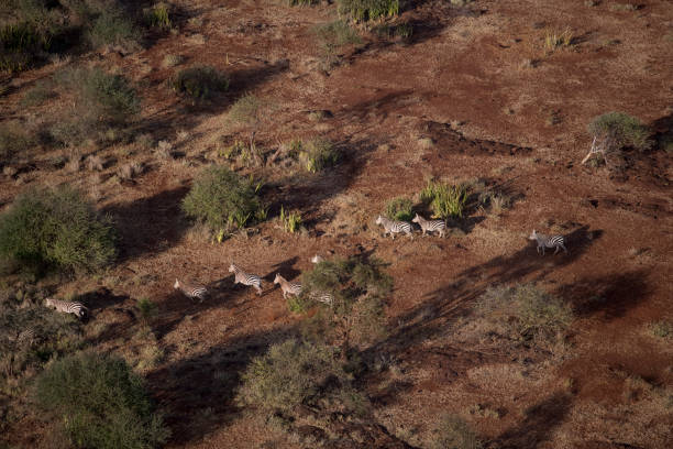 istock Kenya from the air 675337998