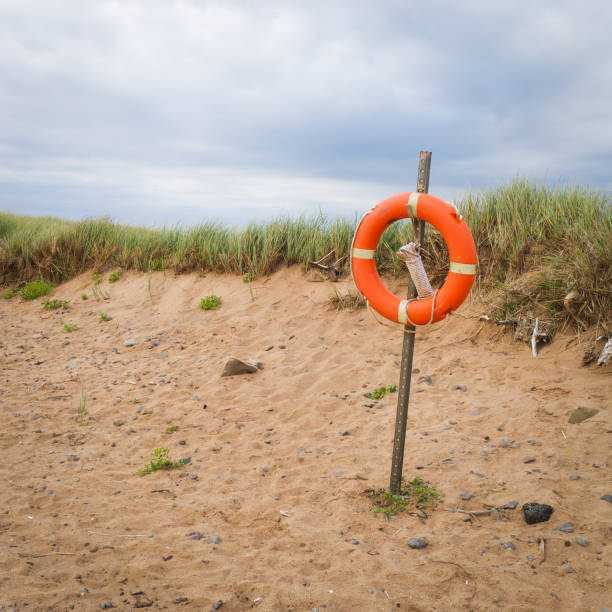 Life buoy on a deserted beach