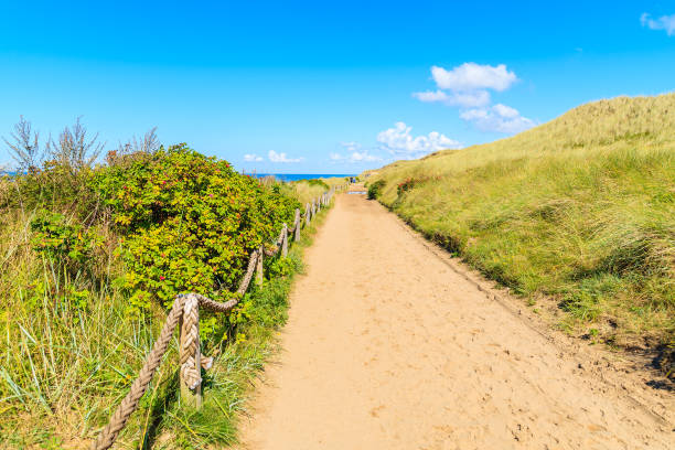 istock Path to beach among sand dunes covered with grass, Sylt island, Germany 675341158