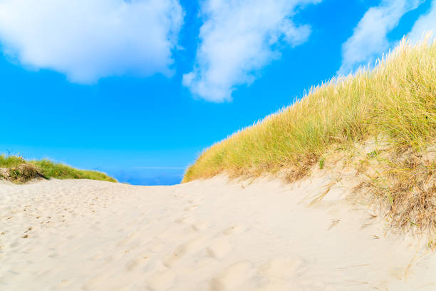 istock Path to beach among sand dunes covered with grass, Sylt island, Germany 675341170