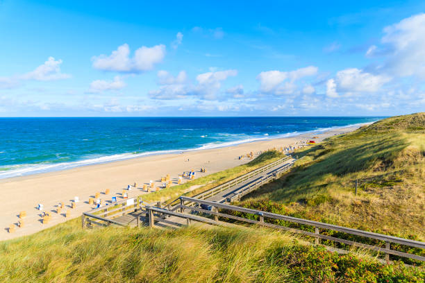 istock Steps from sand dune to beach in Wenningstedt, Sylt island, Germany 675341380