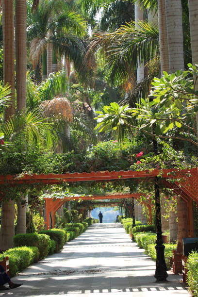 istock Beautiful botanical garden 675344790