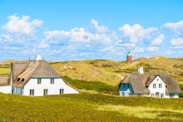 Typical Frisian houses with straw roofs on sand dunes in Kampen village, Sylt island, Germany Sylt is the largest North Frisian island and is a popular destination for fine food and water sports. Located off Schleswig-Holstein's North Sea coast. thatched roof stock pictures, royalty-free photos & images