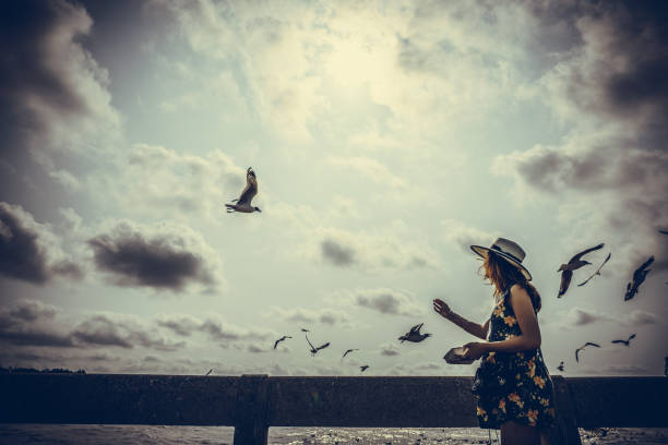 women feeding seagull with sea background