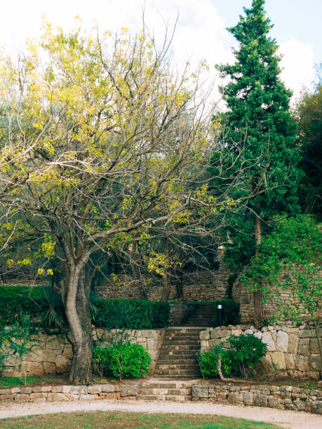 istock A stone staircase and a fence in the forest under the branches o 675352562