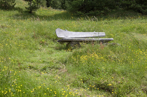 Bench in the meadow